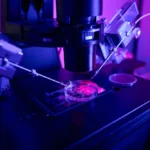 خطوات ومميزات عملية الحقن المجهري لتحديد نوع الجنين